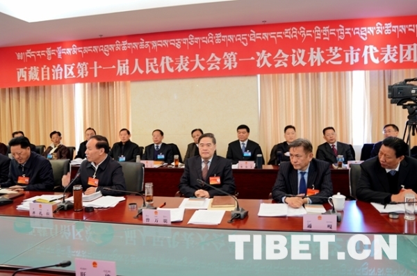 西藏十一届人大一次会议各代表团分组审议政府