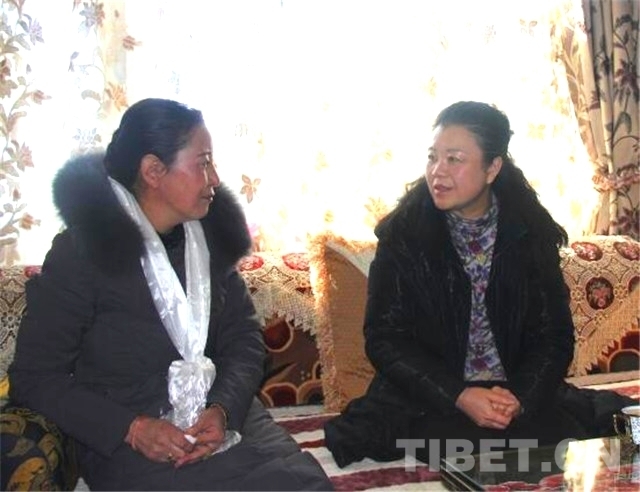 拉萨市道德模范感受春天般的温暖