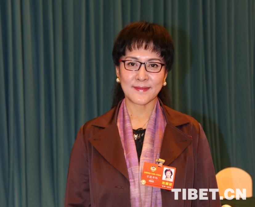 全国政协委员宗庸卓玛:加强重视培养少数民族