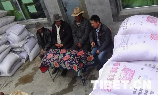 青稞良种自述:我的 拉萨-夏杂 之旅