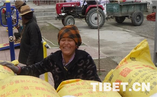 青稞良种自述:我的 拉萨-夏杂 之旅