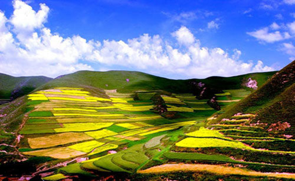 在青藏高原捡垃圾 很酷!