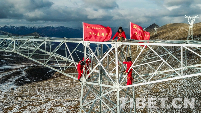 2图 藏中电力联网工程施工现场.jpg