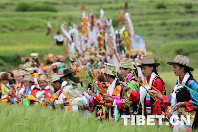 西藏重大节庆,你了解多少_风土人情_康巴卫视网_涉藏新视界