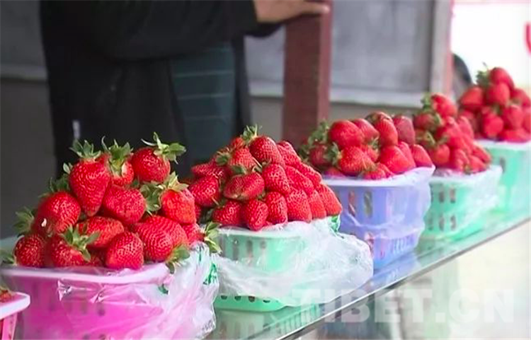 林芝市gdp_林芝市地图(3)