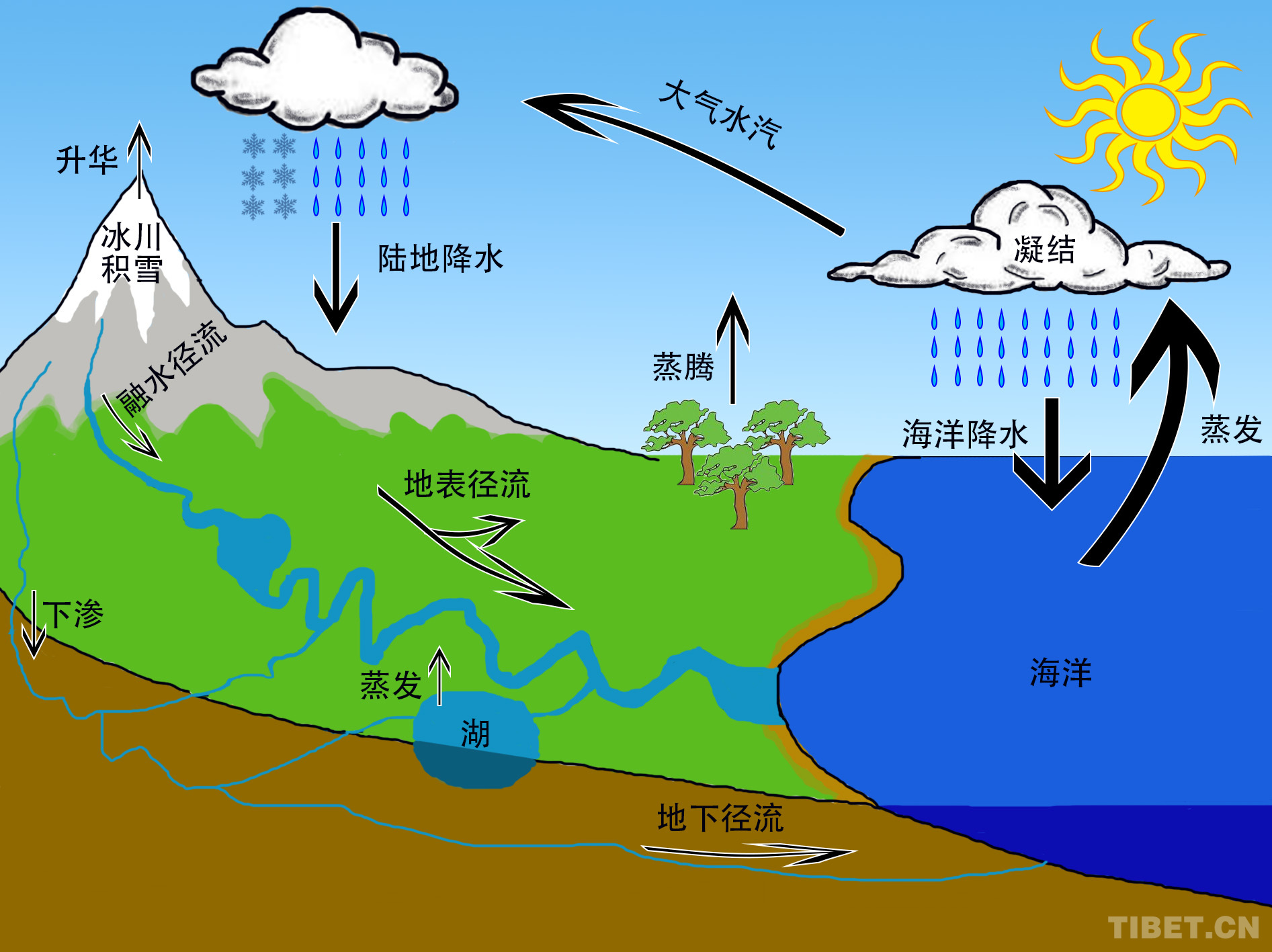 成长的工具——运用 PDCA 循环模型提升自己 | 芒格学院