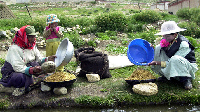2、这是尼玛县文部乡南村的藏族妇女在淘洗准备磨糌粑的青�?(唐召�?2001�?7�?11日摄）_副本.jpg