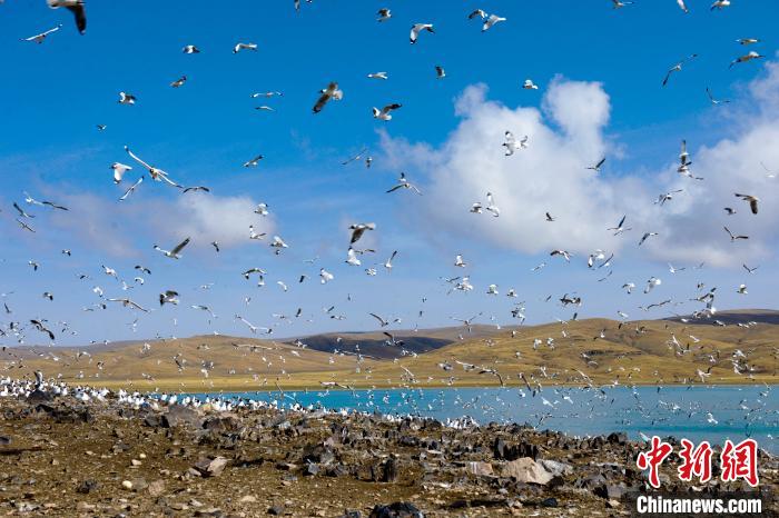 “江河源頭”青海明確“十河三湖”管理范圍