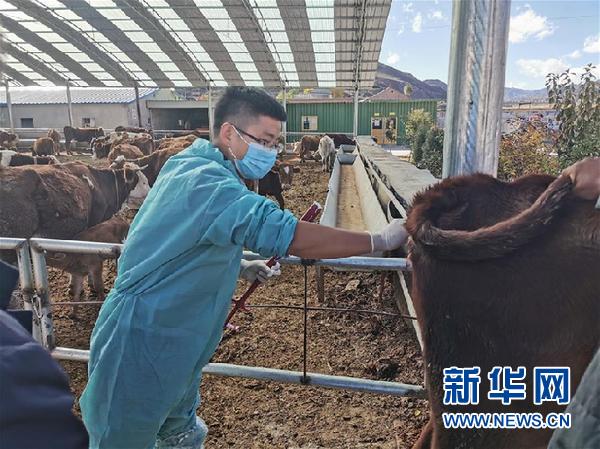 （决战决胜脱贫攻坚·图文互动）（2）脱贫“不暂停” 服务“不打烊”——天津通过“云端”帮扶为甘肃受援地区战贫继续助力