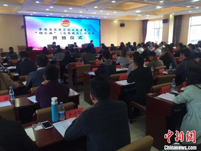 电子商务进农村示范项目助力青海藏区经济高质量发展