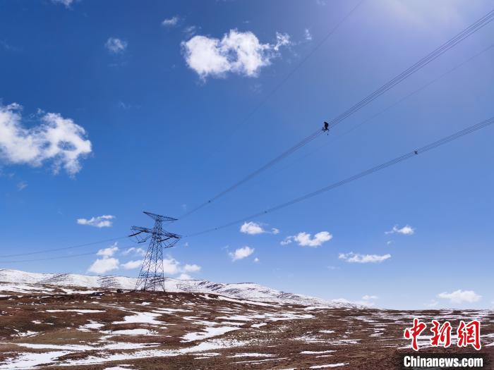 海拔5000米：青藏联网工程首次高空走线巡检
