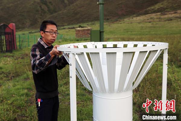 青海气象服务为高原藏雪茶“铺就”生态致富路