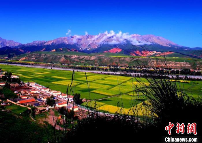 图为青海省海北藏族自治州草原风光。海北州文体旅游广电局供图