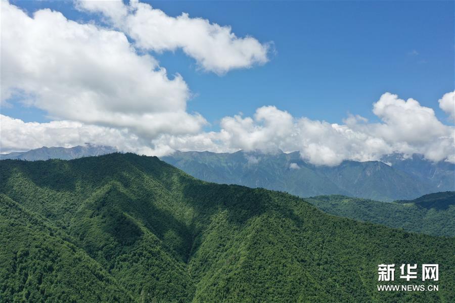 （新华视界）（1）甘肃舟曲：夏日藏乡画中景