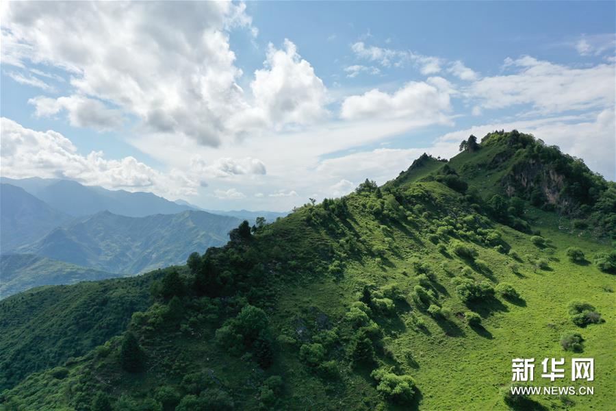 （新华视界）（3）甘肃舟曲：夏日藏乡画中景