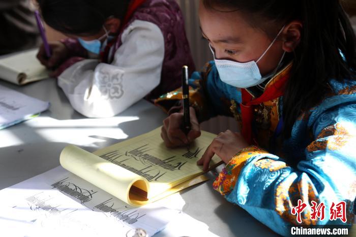 图为杂多县第二民族完全小学学生练习藏文书法。　张添福 摄
