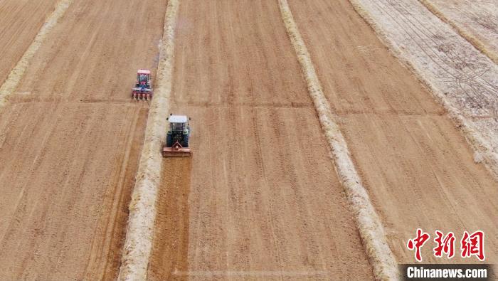 上万亩藜麦在柴达木盆地开始播种