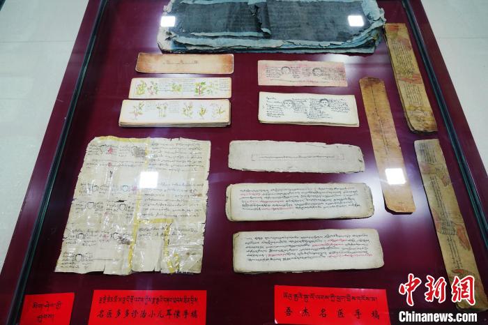 图为藏医古集文献和藏医临床原始手稿。　马铭言 摄