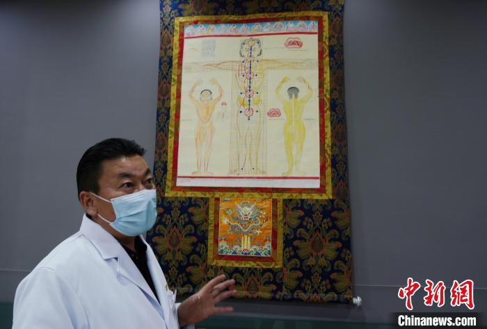 图为兴海县藏医院院长介绍藏医四部医典详实图。　马铭言 摄