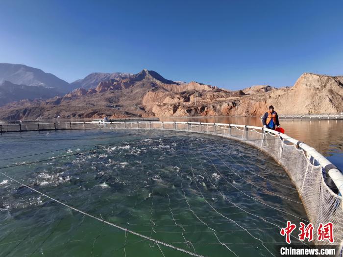 青海高原藏乡：黄河“牧场”里的打渔郎