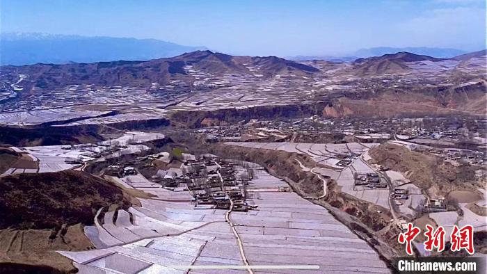 航拍青海藏乡万亩马铃薯基地：依山而垦，密集壮观