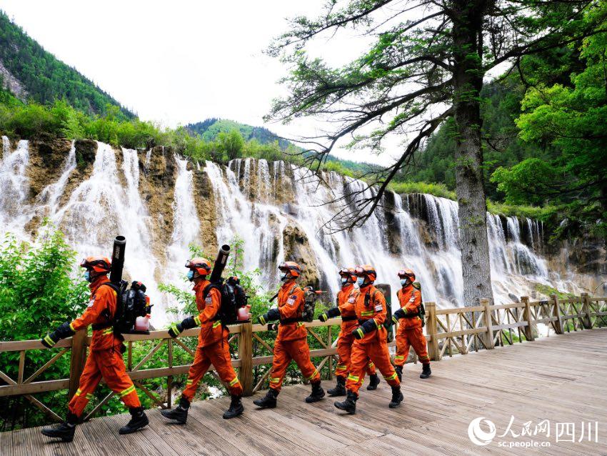 一行“橘红”穿梭在九寨沟景区。程雪力摄