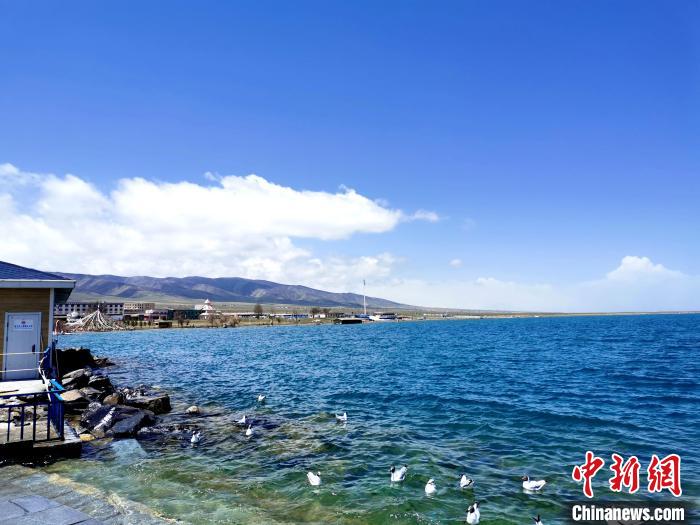 青海多举措加强青海湖流域生态环境监管