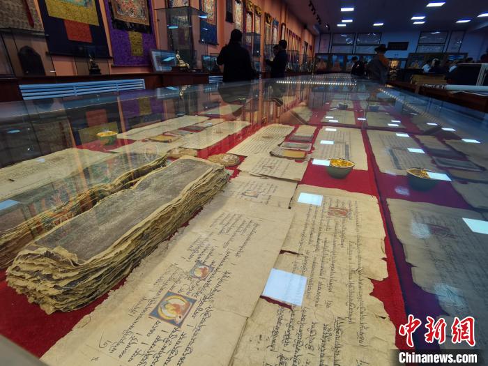 图为陈展的古籍。 张添福 摄