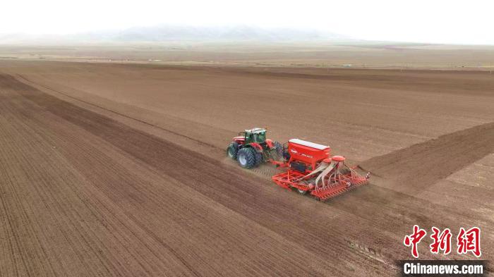 青海贵南牧场:万亩青稞种植基地播种忙