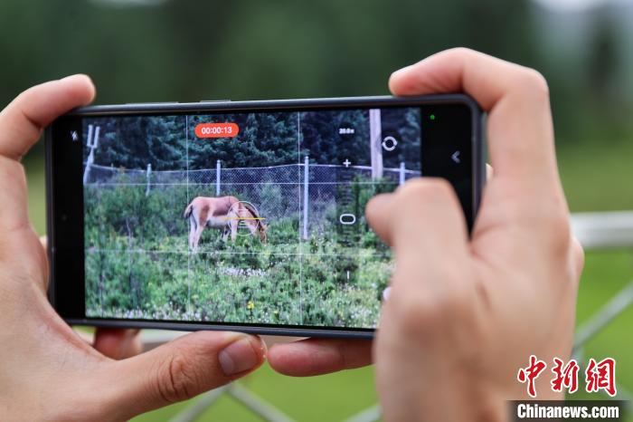 探访祁连山深处的“生命方舟”