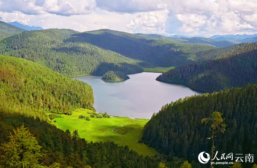 迪庆香格里拉普达措公园夏日风景如画。人民网记者 木胜玉摄