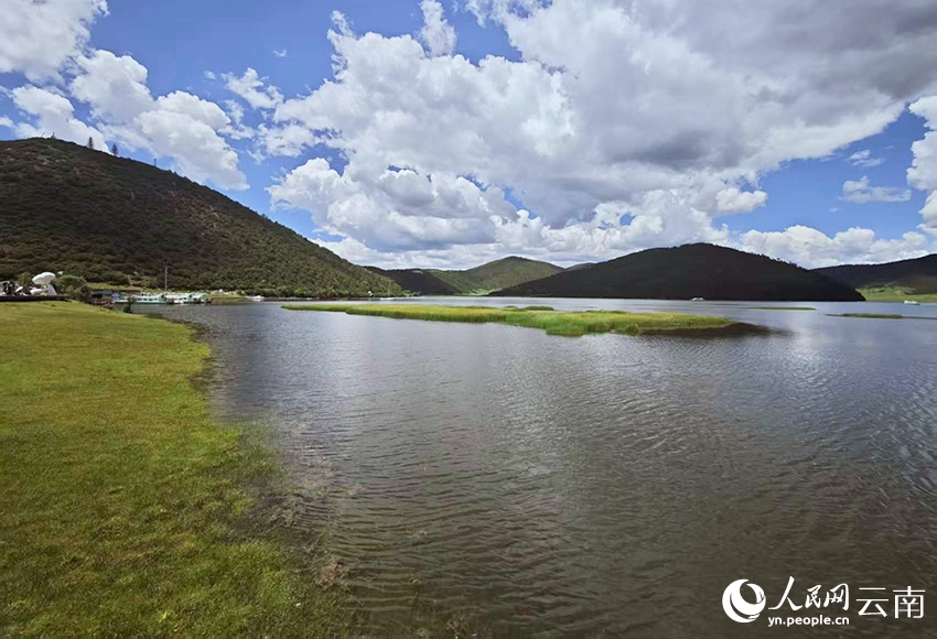 迪庆香格里拉普达措公园夏日风景如画。人民网记者 木胜玉摄
