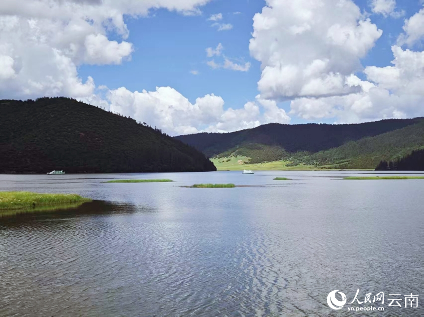 迪庆香格里拉普达措公园夏日风景如画。人民网记者 木胜玉摄
