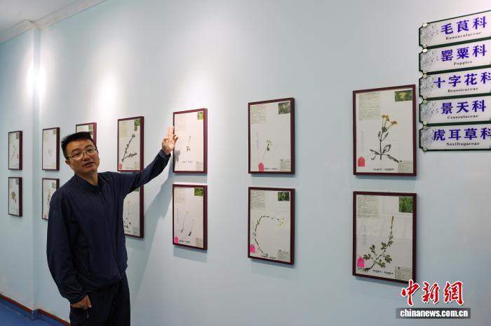 青海班玛：自然科普馆解锁三江源生态“密码”