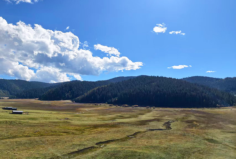 秋天的香格里拉风景如画。迪庆州融媒体中心供图