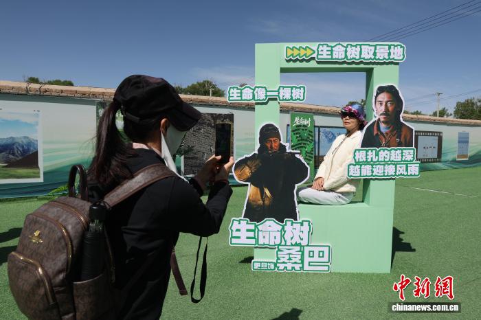 青海德令哈:游客在《生命树》取景地沉浸打卡