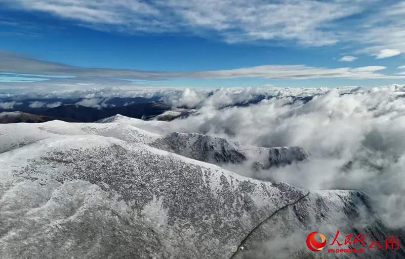 虫草山。知诗吉参摄