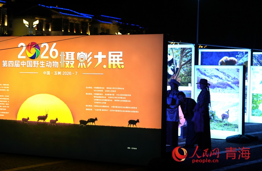 野生动物摄影大展。人民网记者 甘海琼摄
