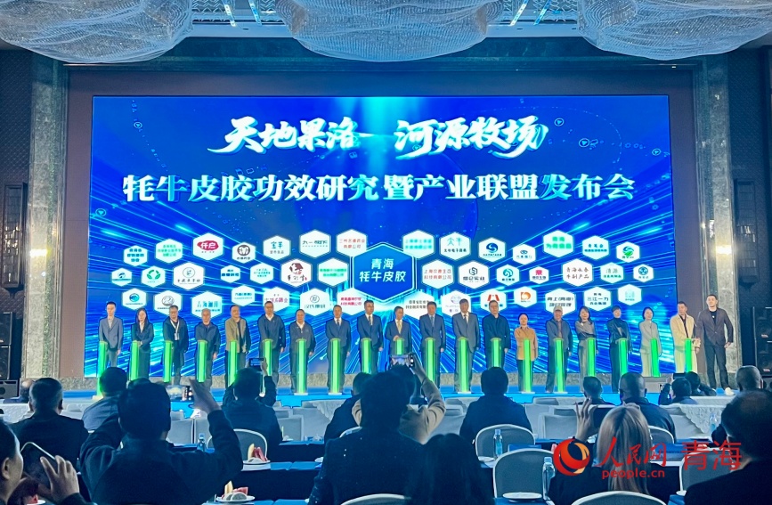 发布会现场。人民网记者 甘海琼摄