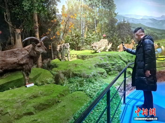 探访青海湖博物馆:大湖生态全景呈现