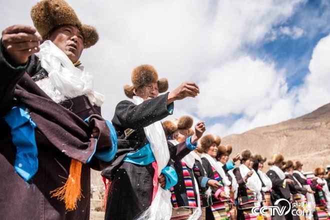 春耕时节，藏族同胞为牦牛戴上配饰，然后开始劳作。