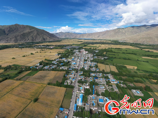 西藏民主改革第一村的教育新图景