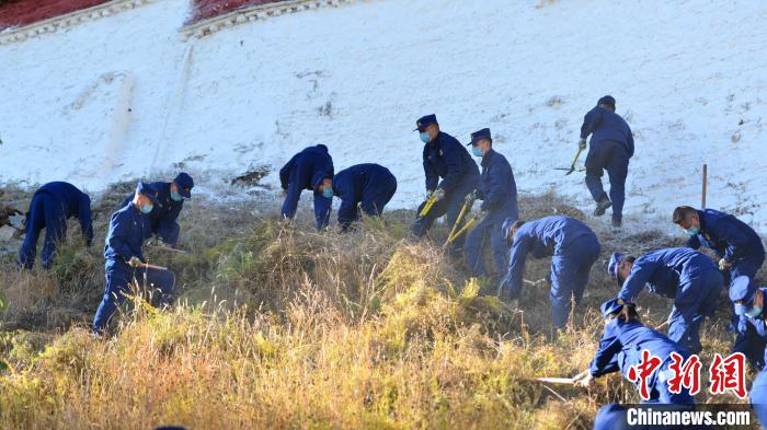 西藏布达拉宫进行一年一度防火除草
