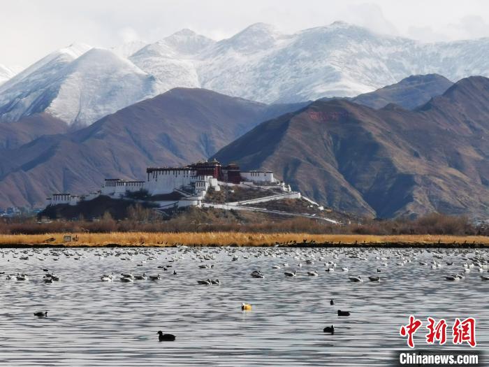 西藏统筹推进全区自然保护地整合优化