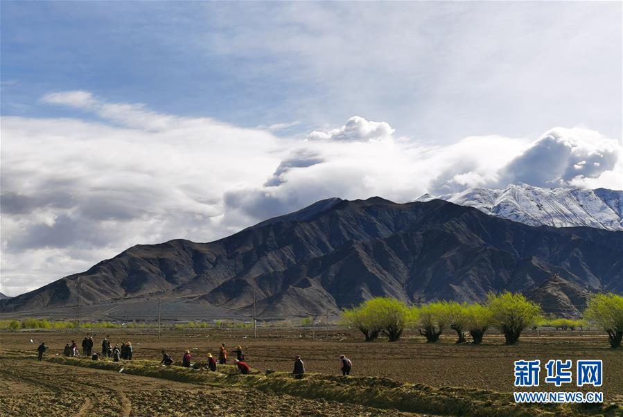 （经济）（1）西藏日喀则：农民春耕忙