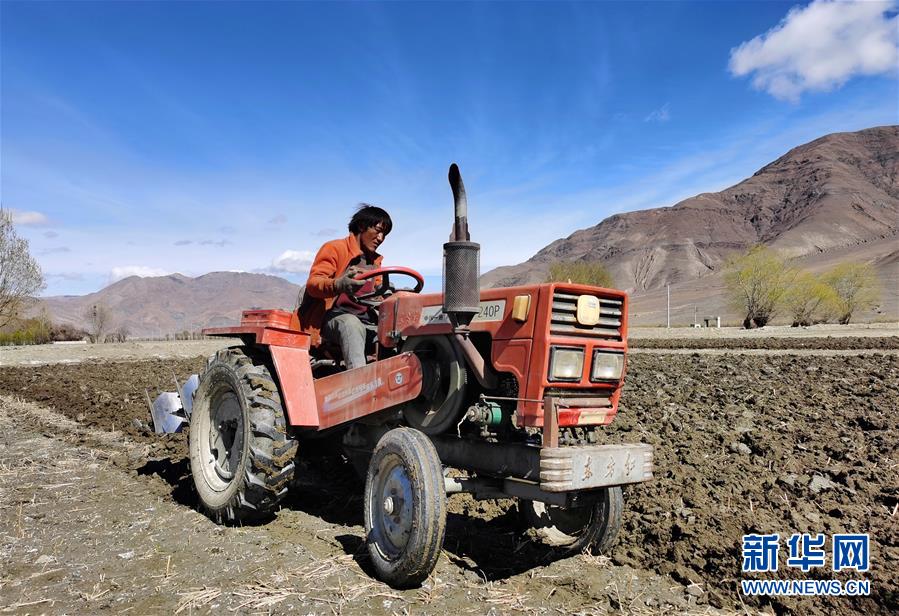 （经济）（2）西藏日喀则：农民春耕忙