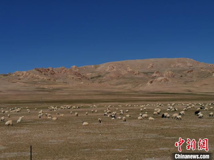 西藏尼玛县发生6.6级地震灾情排查无人员伤亡