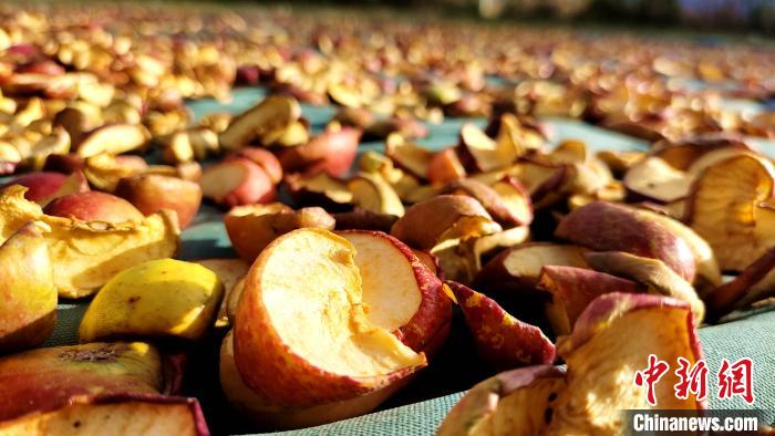 图为通麦村村民晾晒的切片苹果。　贡桑拉姆 摄