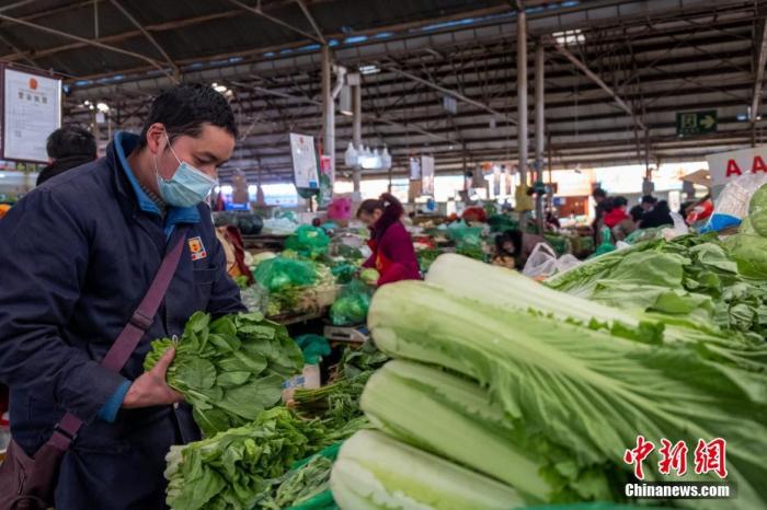 2月26日，拉萨药王山农贸市场商户王佑军码放叶类蔬菜，他销售的蔬菜中大半为西藏本地种植。 <a target='_blank' href='http://www.chinanews.com/'><p  align=
