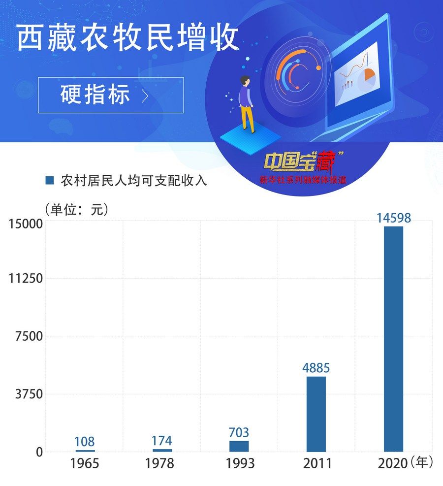 中国宝“藏”|稳定增收 西藏农牧民阔步走向小康路